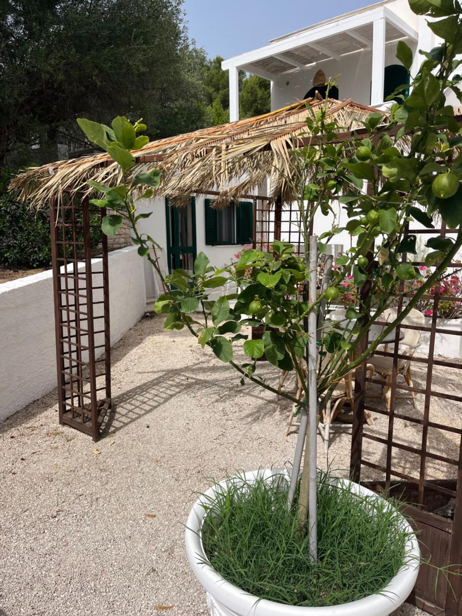 Viestemare Resort & Spa Dış mekan fotoğraf